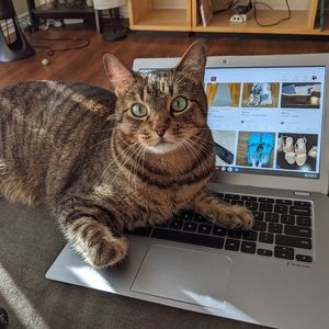 Not getting much done this morning